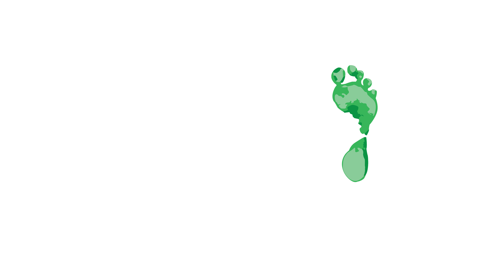 Taban bar & hostel